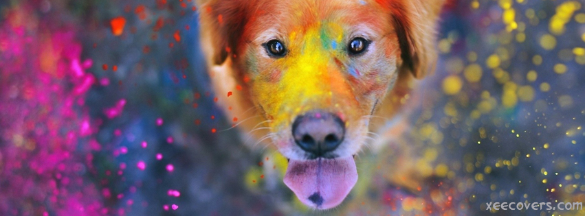 Colorful Dog FB Cover Photo HD