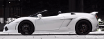 Lamborghini BF Performance White