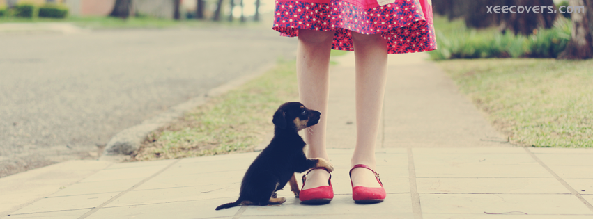 Little Pup Wants Something From You facebook cover photo hd
