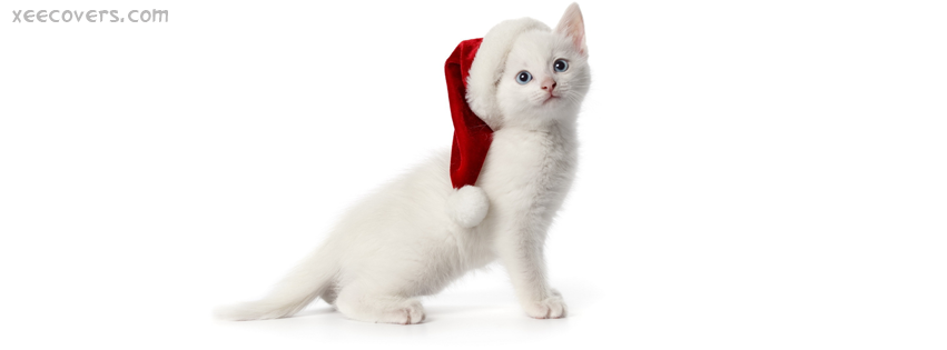 Christmas Cat facebook cover photo hd