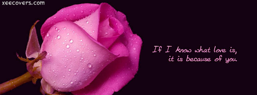 If I Know What Love Is , It Is Because Of You facebook cover photo hd